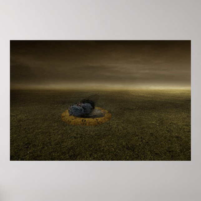 Pôster Fim do objetivo 2013 (Frente)