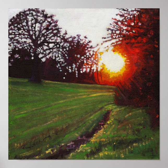 Poster Final do dia 2013 (Frente)