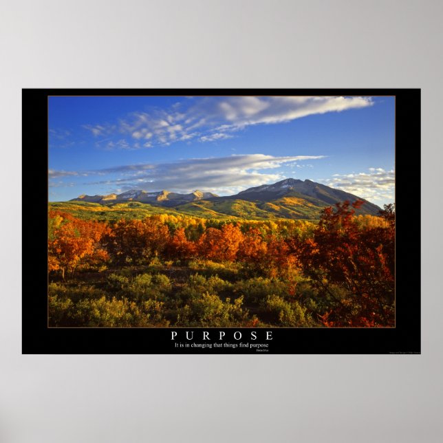 Poster Finalidade (Frente)