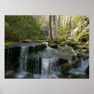 Poster Finalizar quedas I