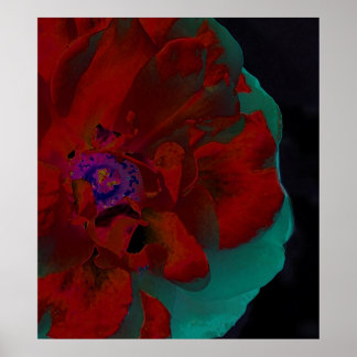 Poster Fine Art Floral