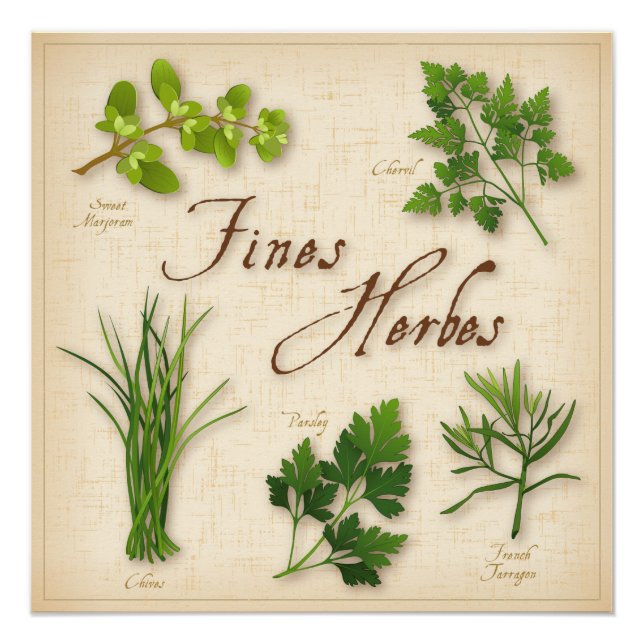 Pôster Fines Herbes Poster (Frente)
