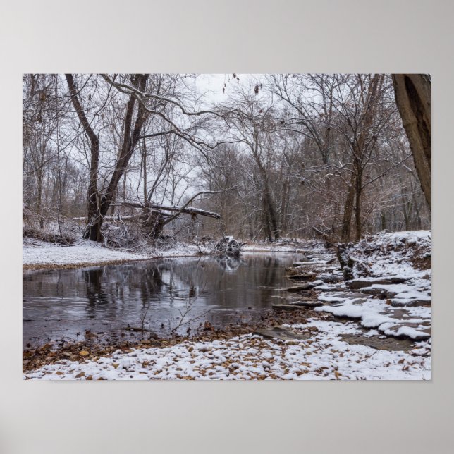 Poster Finley Winter Snow (Frente)