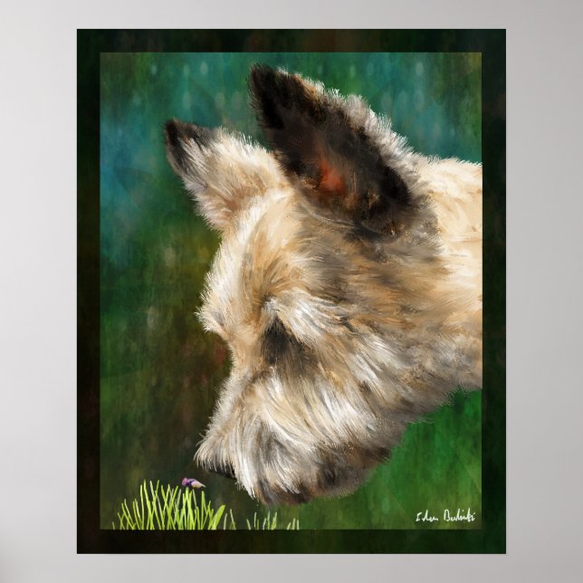 Pôster Finn (Frente)