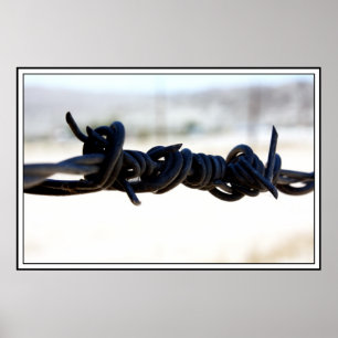 Pôster Fio Barbed