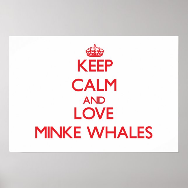 Poster Fique calmo e ame Minke Whales (Frente)