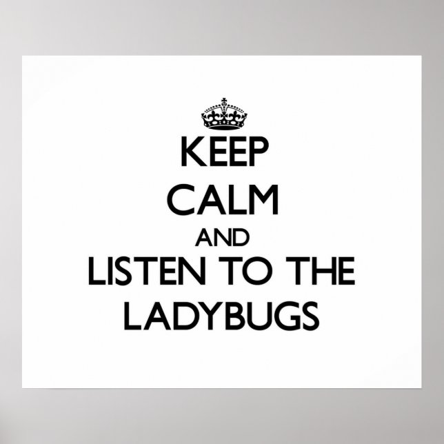 Poster Fique calmo e escute as Damybugs (Frente)