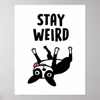 Poster Fique estranho Boston Terrier Engraçado Cachorro