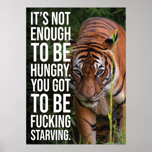 Poster Fique Fome vs Fome, Tiger, Success Gystle Hustle (Frente)