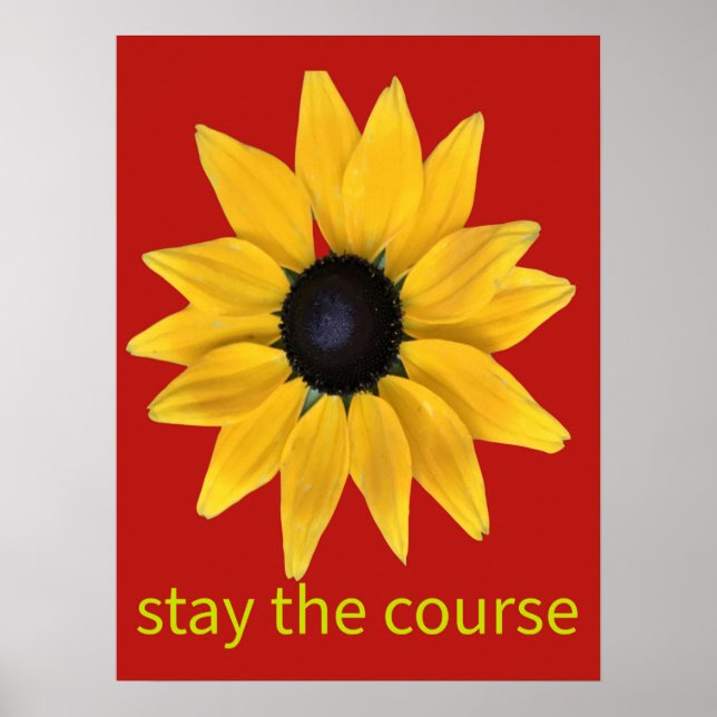 Poster Fique no curso. Fotografia de girassol aprimorada (Frente)