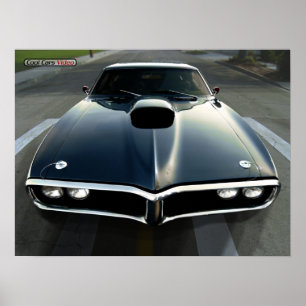 Pôster Firebird