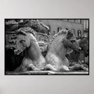 Pôster Firenze