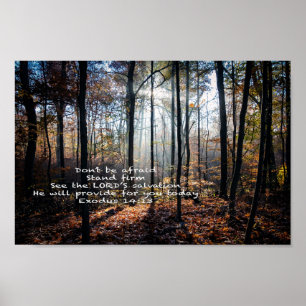 Poster Firme de apoio — 