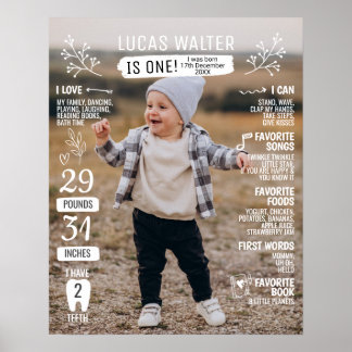Poster First birthday milestone photo board