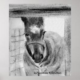 Pôster First Time Out, por Lucinda Knowlton