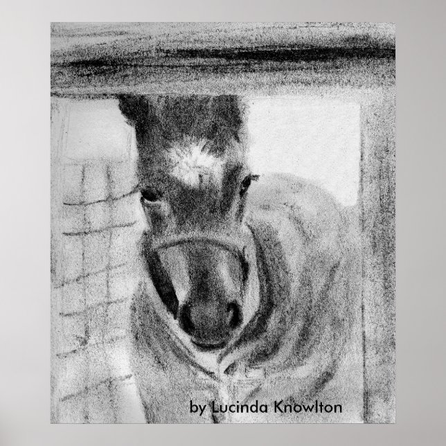 Pôster First Time Out, por Lucinda Knowlton (Frente)