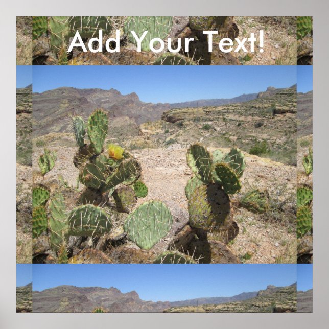 Pôster Fish Creek Hill Vista Prickly Cactus (Frente)