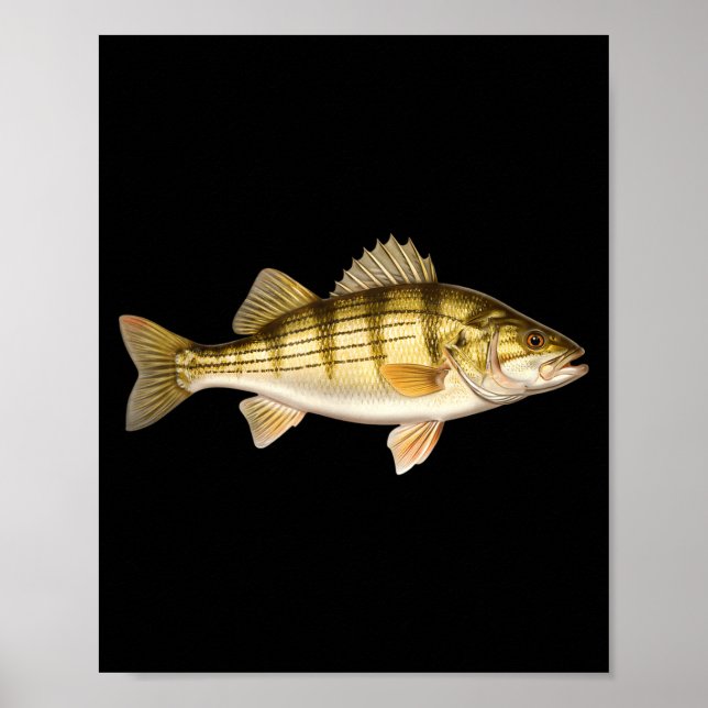 Poster Fish Ed B Er Fishing Art For Anglers  (Frente)