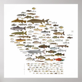 Poster Fishes de Wisconsin