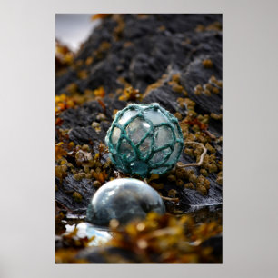 Poster Fishing float in tide pool, Alaska