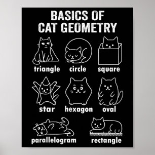 Poster Física Divertida Da Geometria Do Gato De Volta À M