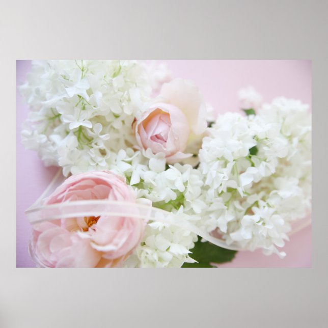 Pôster fita rosa hydrangea (Frente)