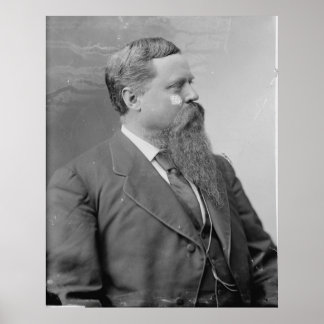 Pôster Fitzhugh Lee