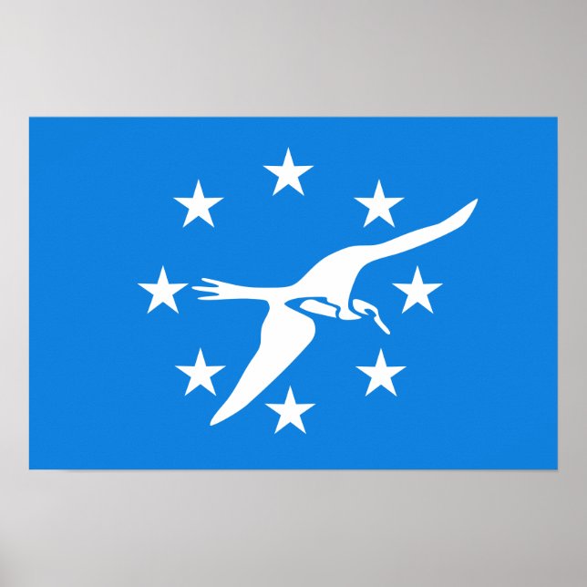 Poster Flag of Corpus Christi (Frente)