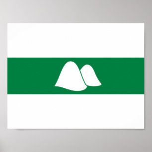 Pôster Flag of Kurgan oblast