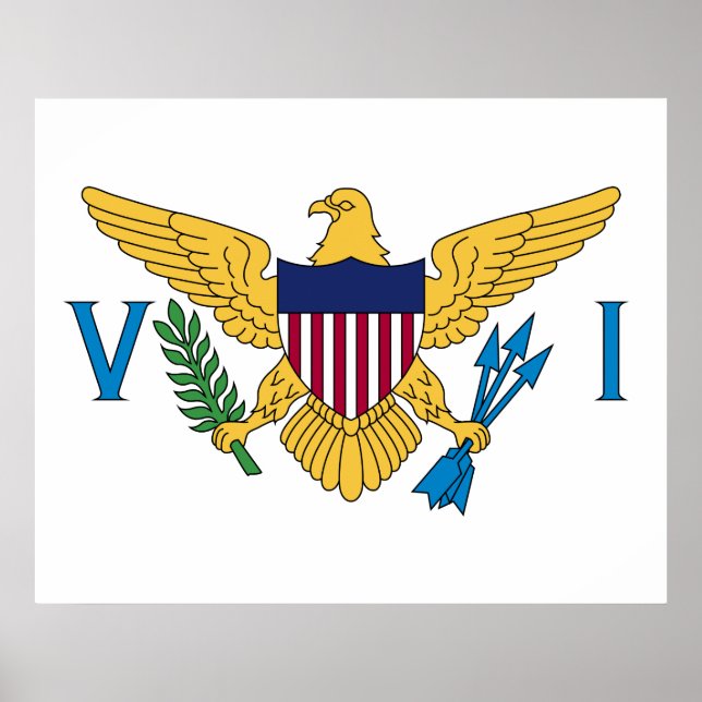 Poster Flag of the United States Virgin Islands (Frente)