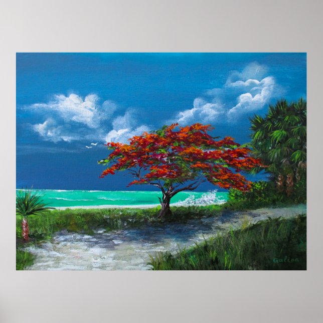 Poster Flamboyan Tree, Caribe, Porto Rico (Frente)