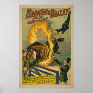 Poster flamejante do circo do cavalo