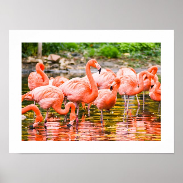 Poster Flamengo (Frente)