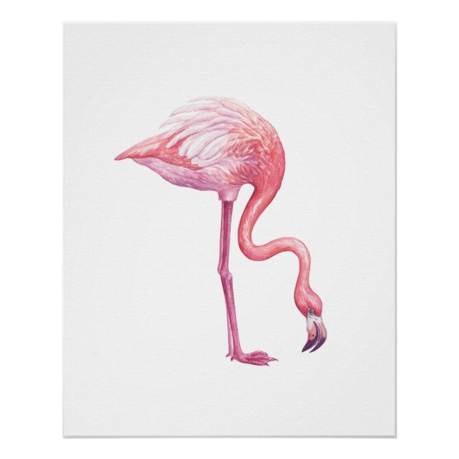 Pôster Flamingo (Frente)