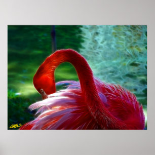 Poster Flamingo