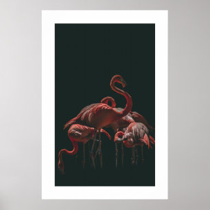 Poster Flamingo