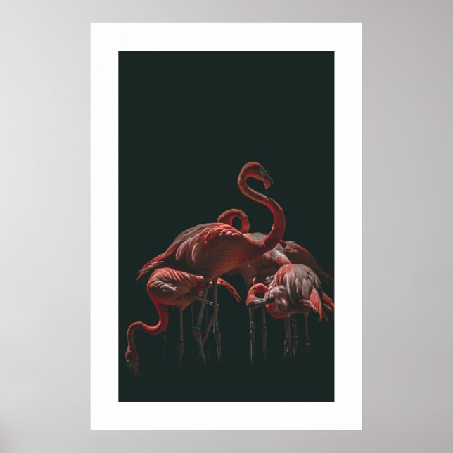 Poster Flamingo (Frente)
