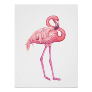 Pôster Flamingo 2