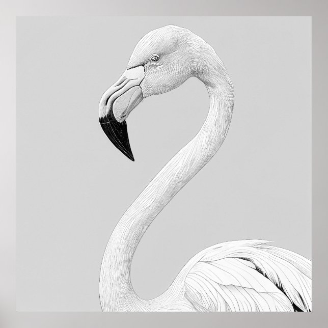 Poster Flamingo Bird Wild Nature - Ilustração Animal (Frente)