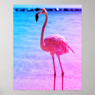 Poster Flamingo bonito na água em uma praia