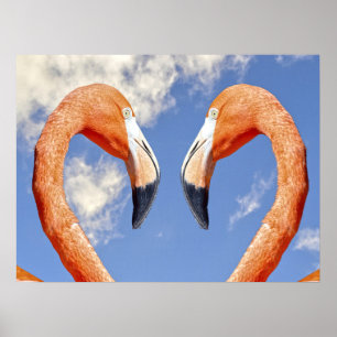 Poster Flamingo caribenho amor coração