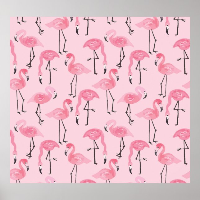 Poster Flamingo Cor-De-Rosa, Padrão Tropical De Verão. (Frente)