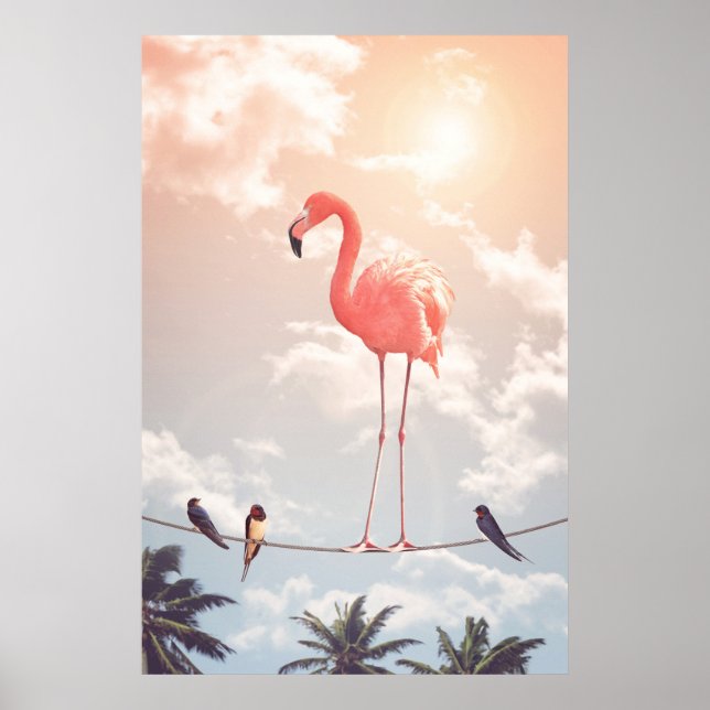 POSTER FLAMINGO E AMIGOS (Frente)