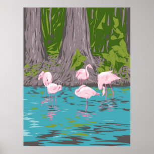 Poster Flamingo em Everglades