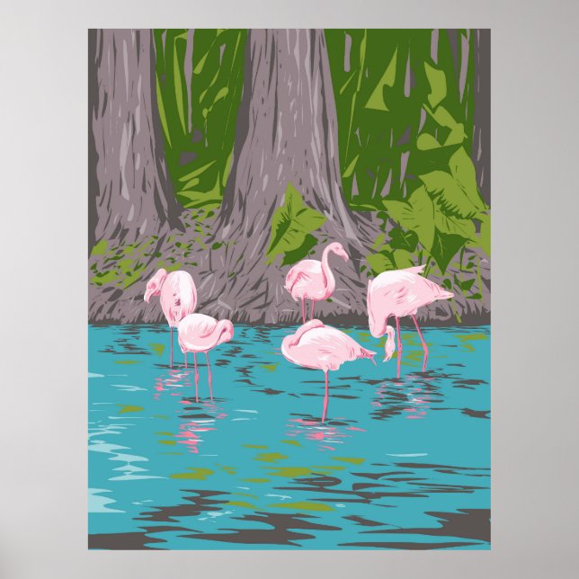 Poster Flamingo em Everglades (Frente)