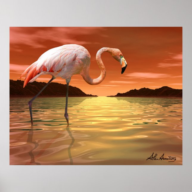 Poster Flamingo Flamingo, Rosa, (Frente)