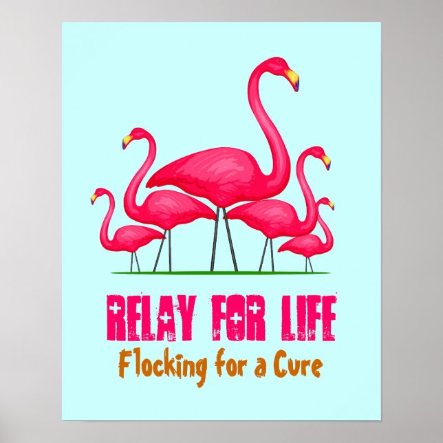 Pôster Flamingo Lingo Rosa (Frente)