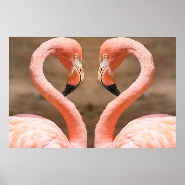 Pôster Flamingo Love (Frente)