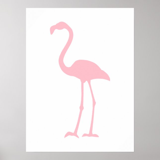 Pôster Flamingo Rosa (Frente)