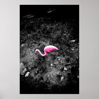 Poster flamingo rosa
